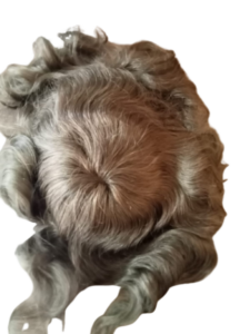 wa4